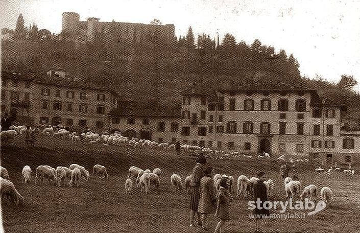 La Fara Anni 50