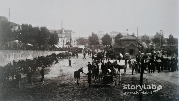 Foro Boario 1900