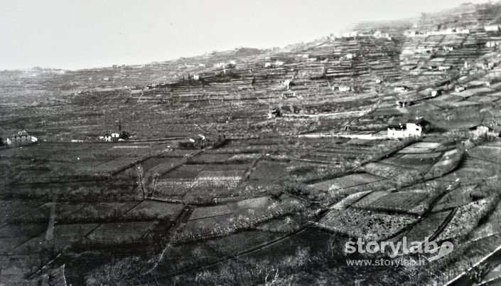 Quartiere S.Lucia Con La Chiesetta 1884