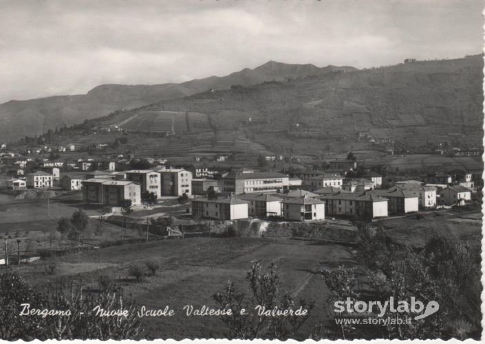 Nuove Scuole Valtesse E Valverde