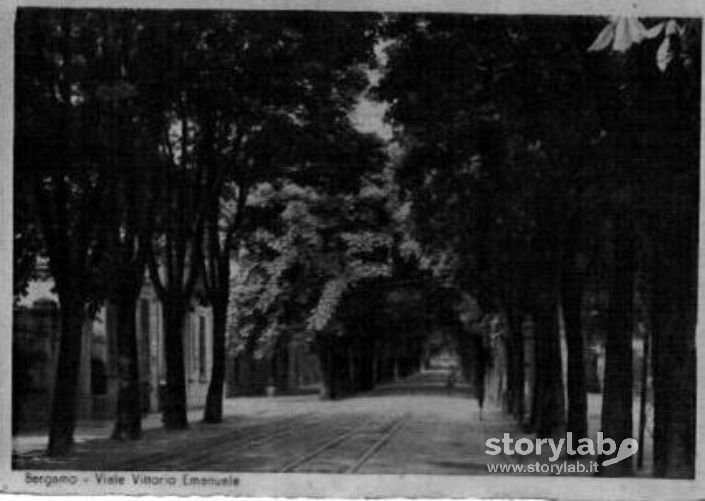 Viale Vittorio Emanuele