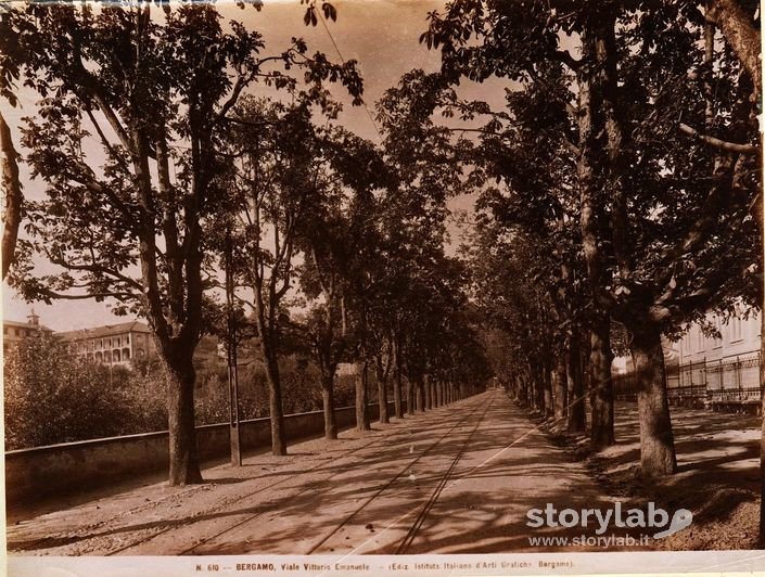 Viale Vitttorio Emanuele