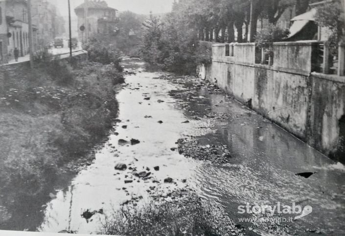 Dal Ponte Di S. Caterina 