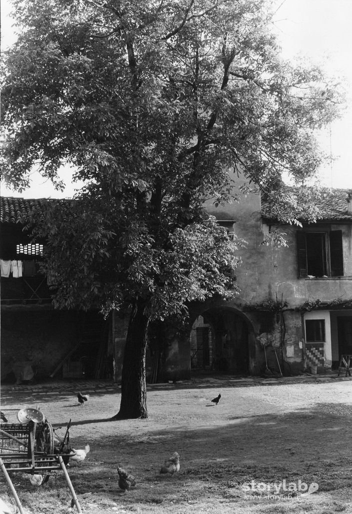 Cascina Castello