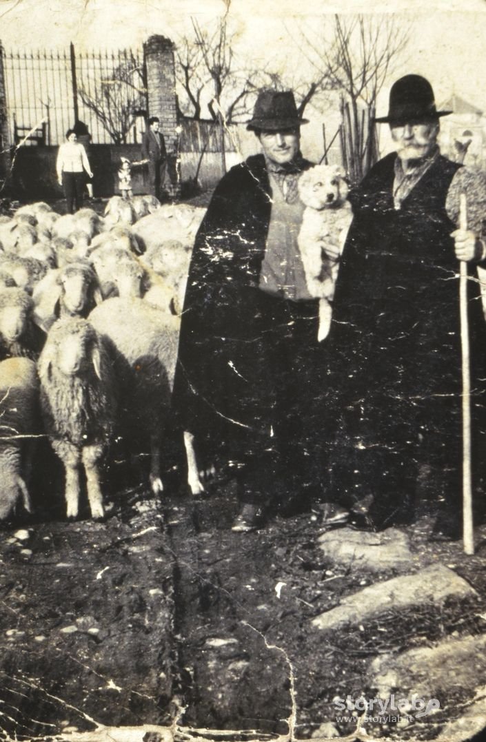 Pastori mornicesi