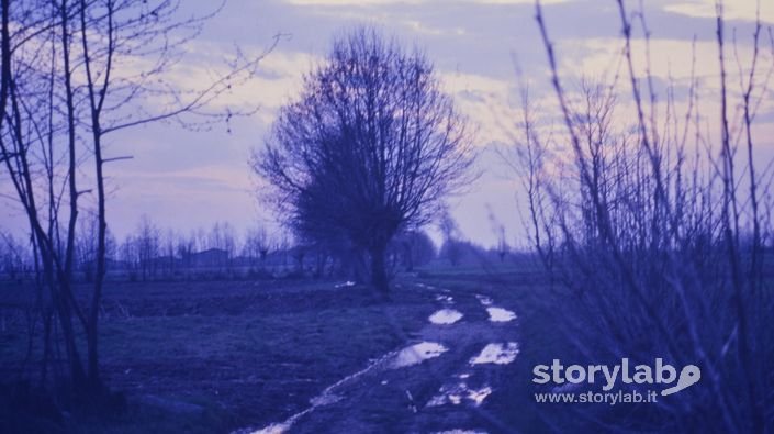 Campagna al tramonto
