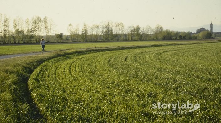 Paesaggio di Mornico 