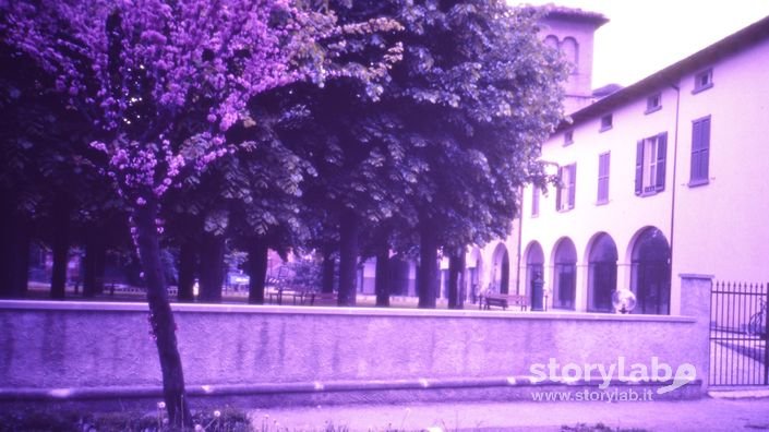 La biblioteca comunale