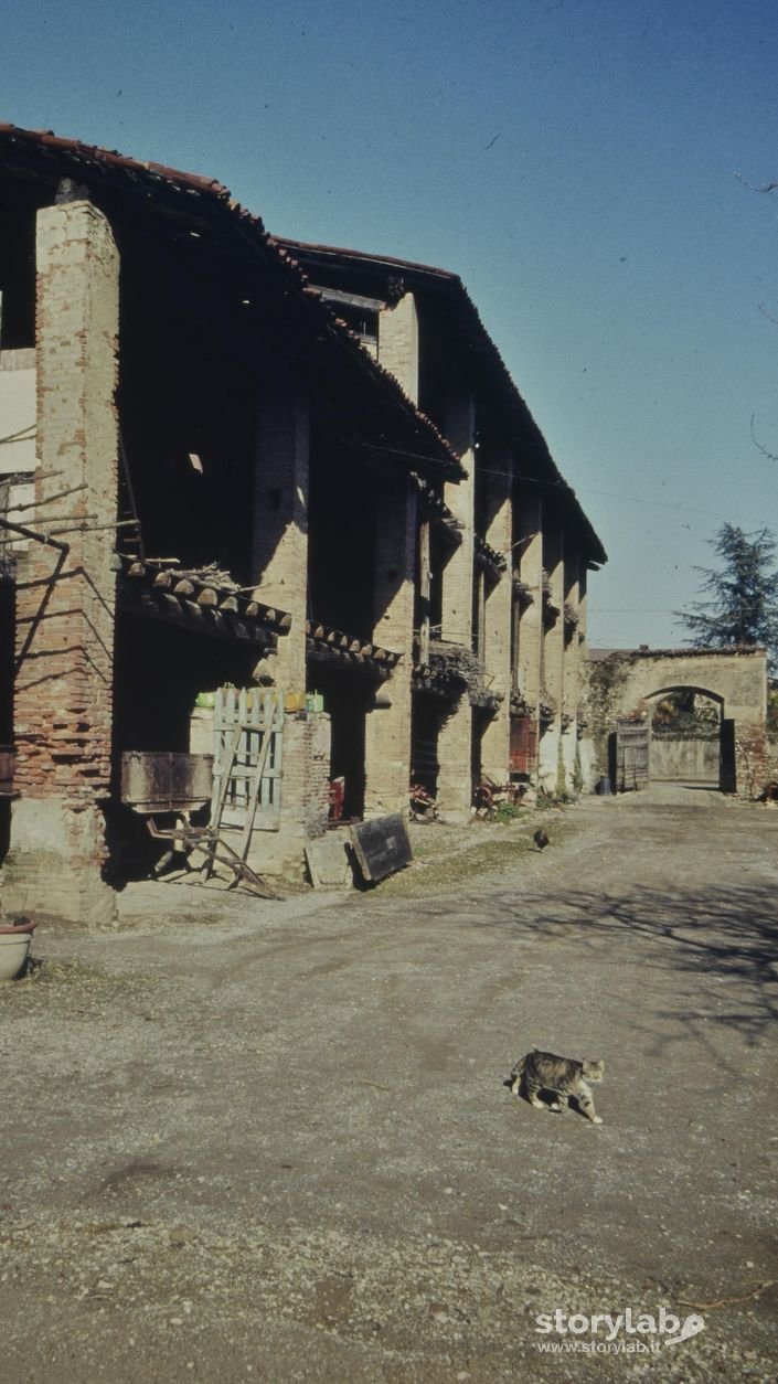 Casale a Mornico 