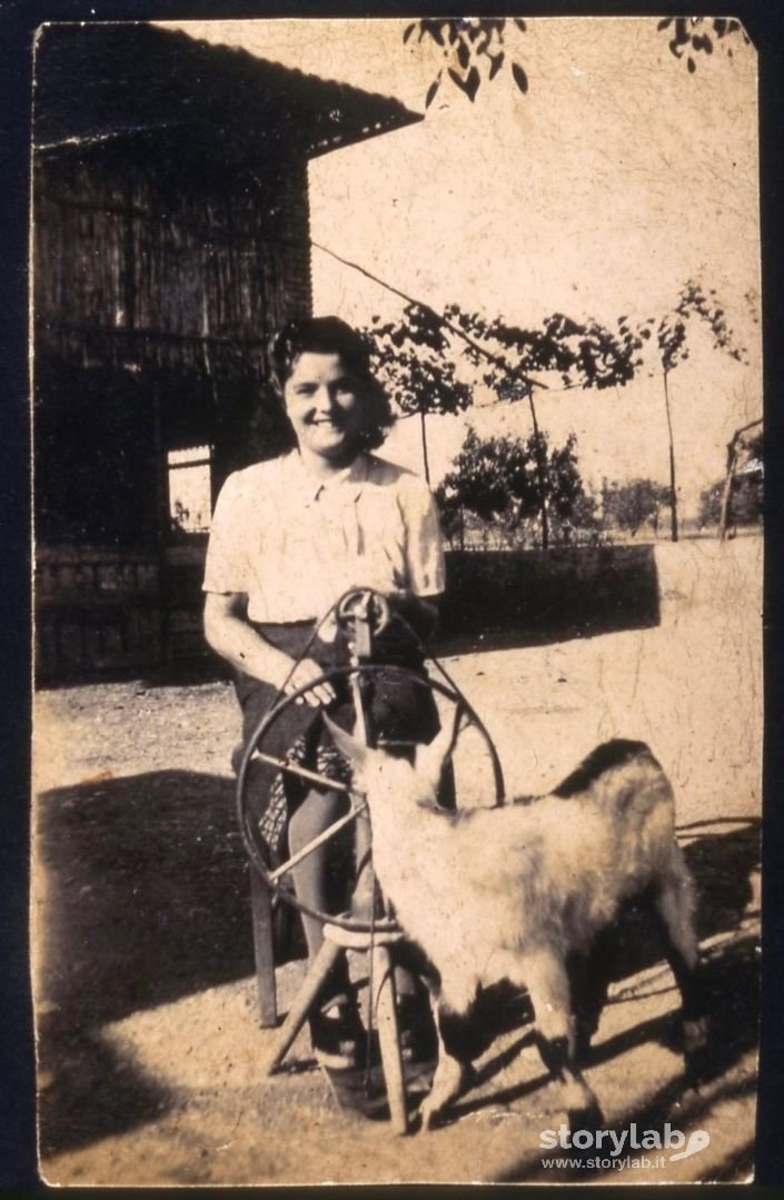 G. Giulia 