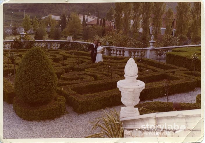 Matrimonio