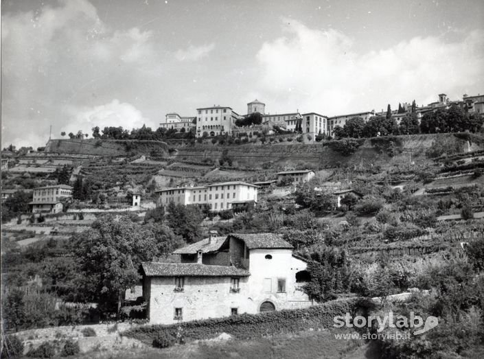 Gli Orti Di Bergamo E Il Seminario