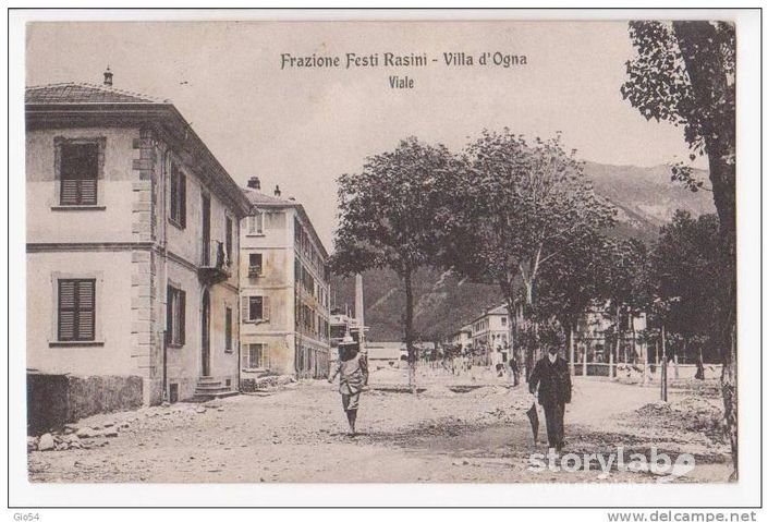 Festi Rasini