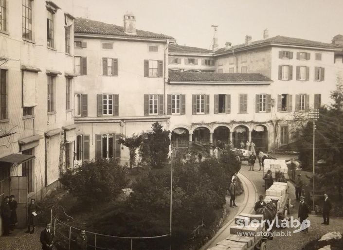 Istituto Italiano Arti Grafiche