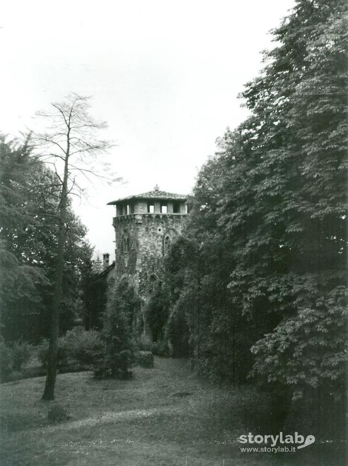 Giardino Villa Steiner