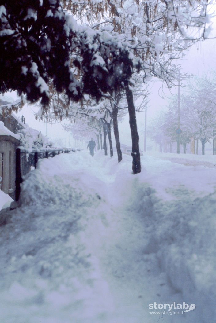 Nevicata 1985