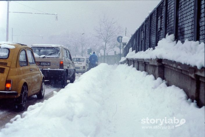 Nevicata 1985