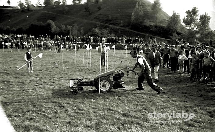 Mostra Agricola Gara Con Le Macchine Agricole