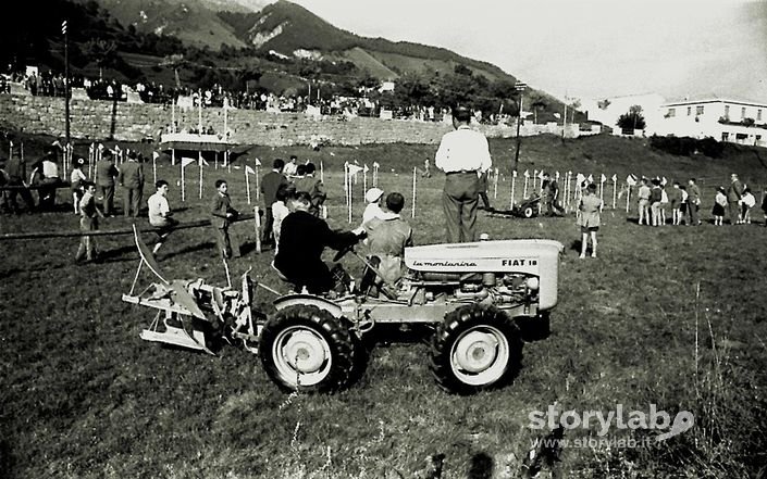 Mostra Agricola-Trattore Per La Montagna