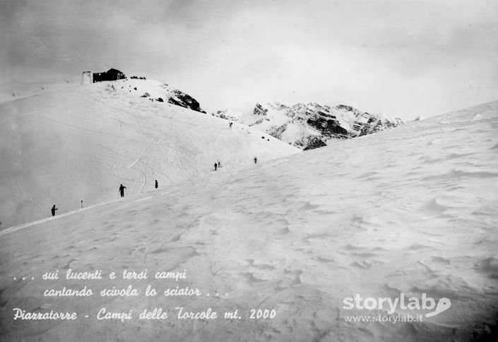 Cartolina Dai Campi Da Sci Del Torcola, Mt 2000