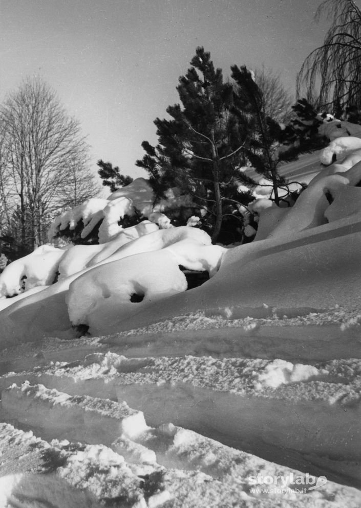 Paesaggio Innevato Alla Cantoniera Della Presolana