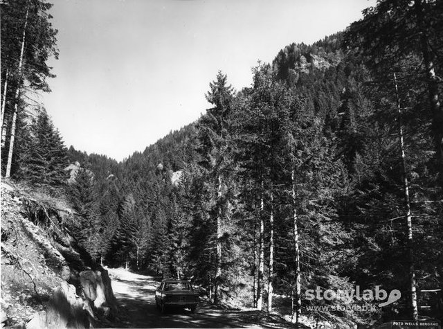 Mezzoldo Storylab