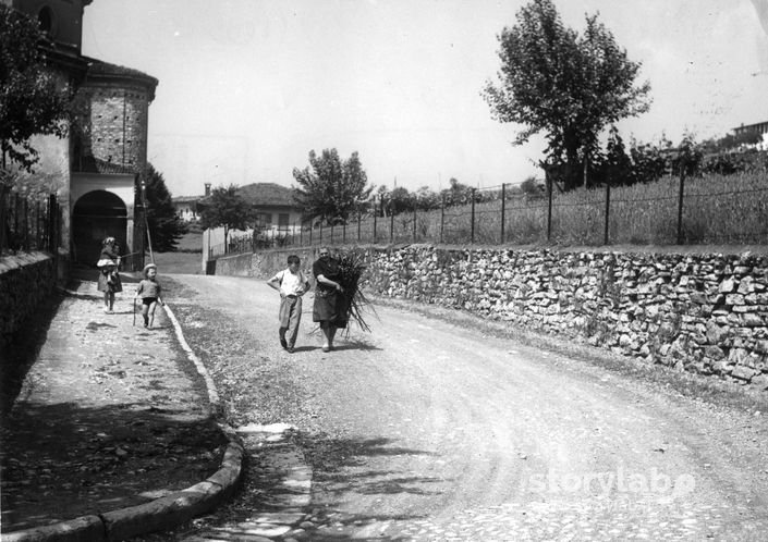 Raccolta Legna A Cenate Sopra