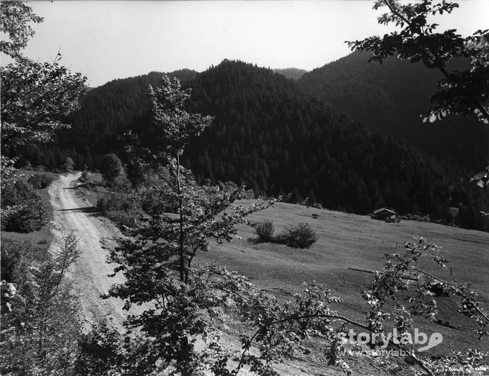 Paesaggio Montano