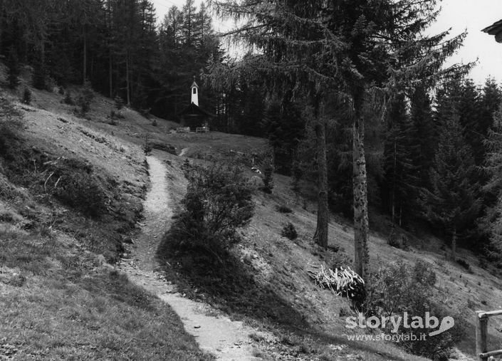 Sentieri Di Montagna