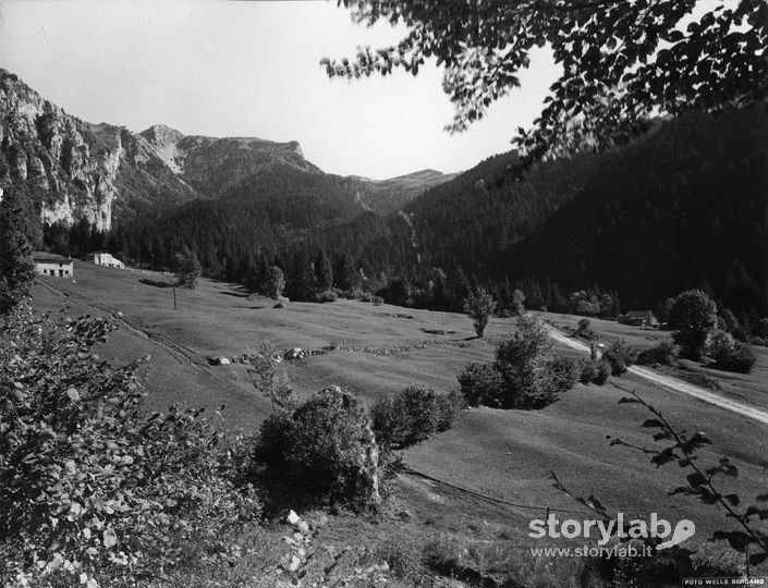 Paesaggio Di Montagna