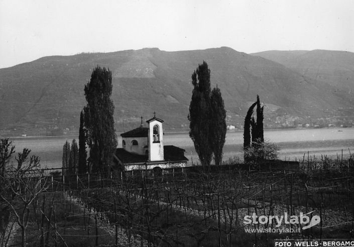 Chiesa E Vigneti