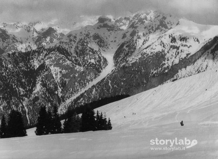 Paesaggio Innevato