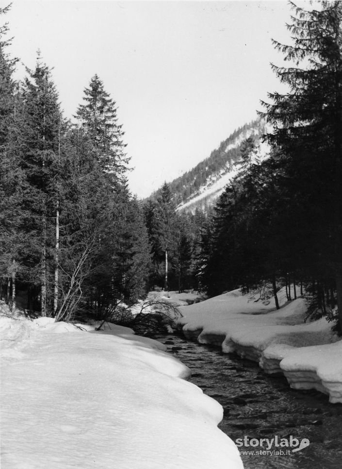 Ruscello Tra La Neve