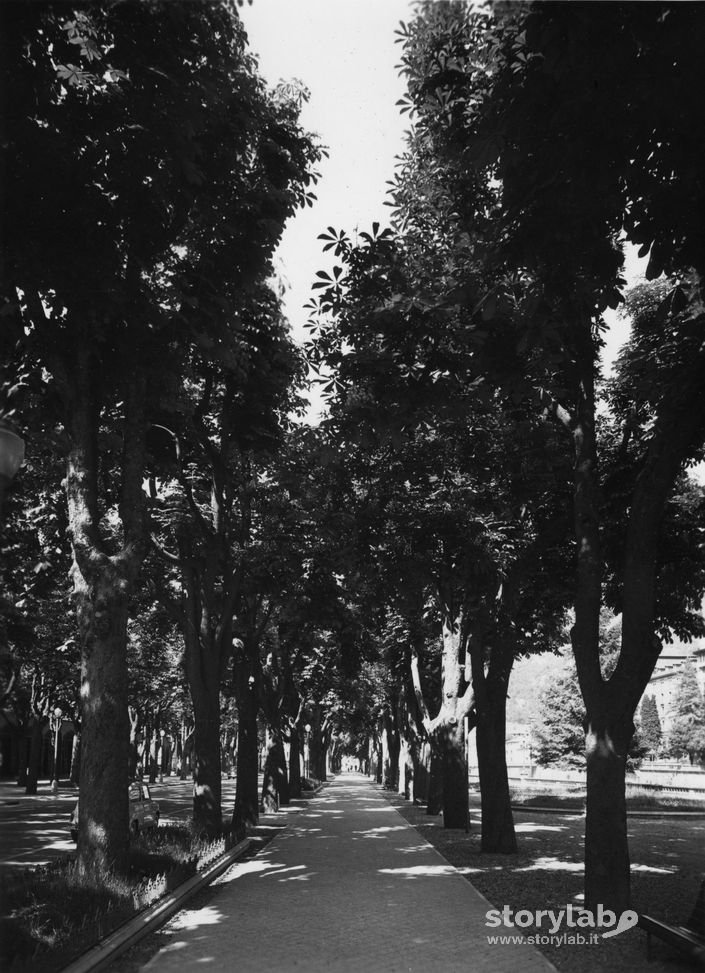 Viale Alberato, San Pellegrino Terme