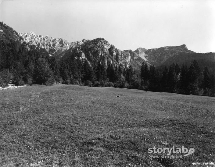 Paesaggio Montano