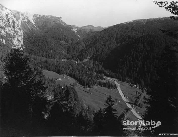 Paesaggio Montano