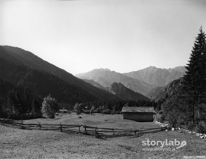 Paesaggio Montano