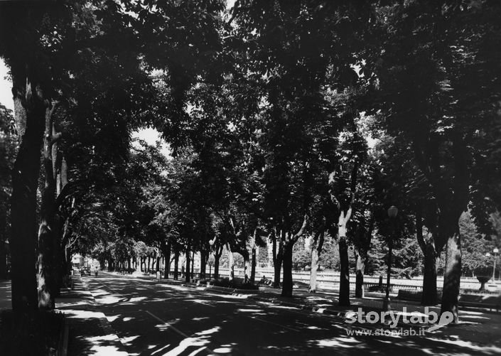 Viale, San Pellegrino Terme