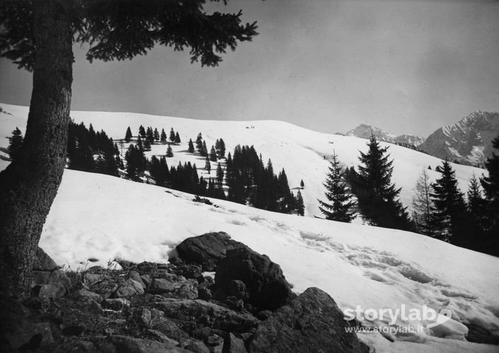 Paesaggio Innevato