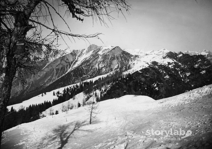 Paesaggio Innevato