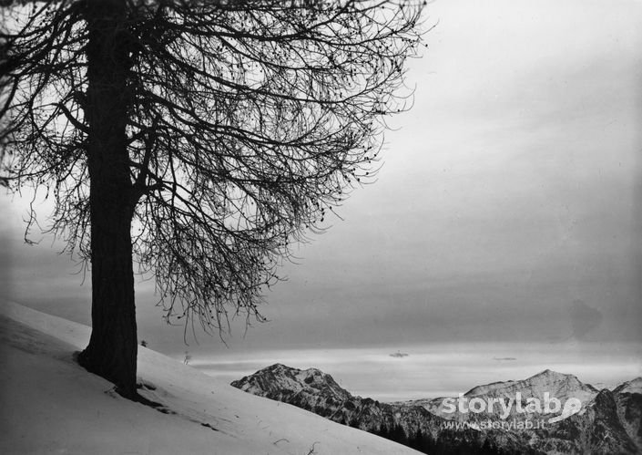 Paesaggio Innevato