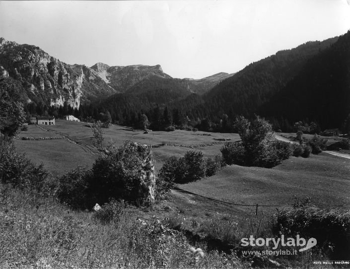 Paesaggio Montano