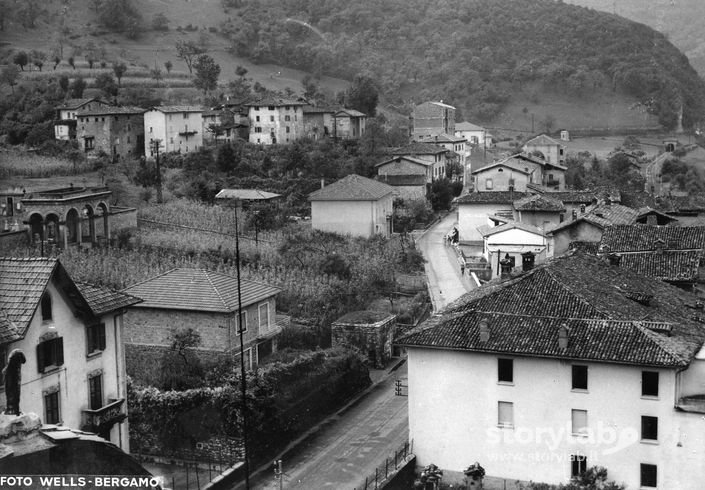 Sedrina