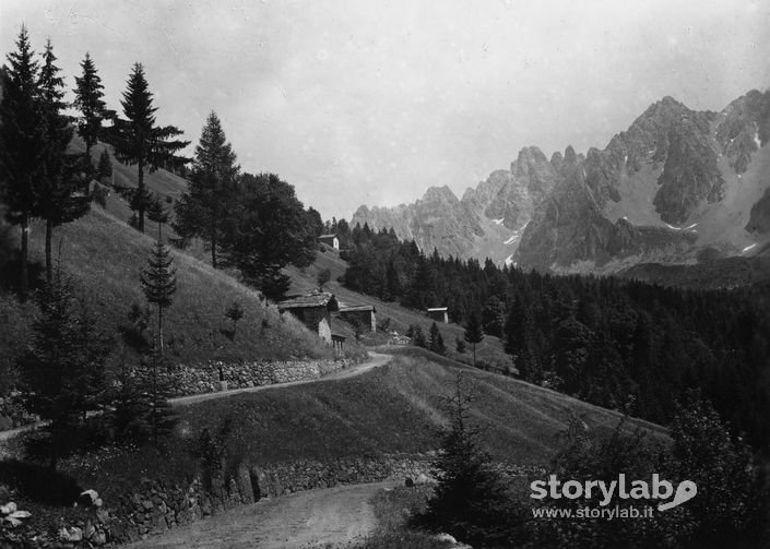 Paesaggio Di Montagna