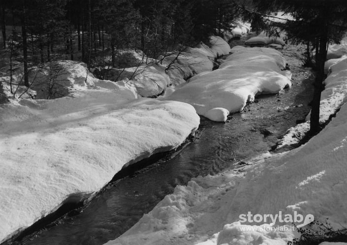 Ruscello Tra La Neve