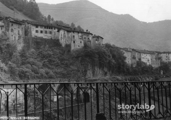 Sedrina 