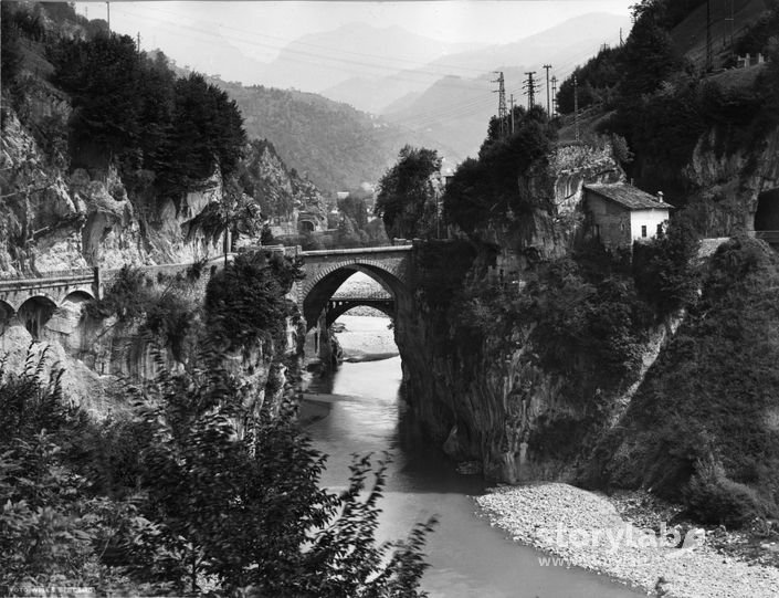 Sedrina