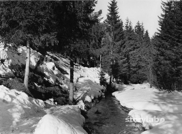 Ruscello Tra La Neve