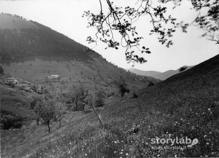 Montagne Di Vigolo