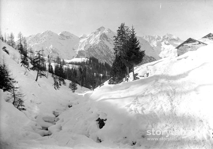 Neve In Montagna